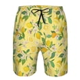 thumbnail image 3 of Goofa Lemon (2) Printed Mens Swim Trunks Summer Quick Dry Short Beach Swimwear Bathing Suits-Small, 3 of 9