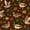 Color 1, variant on Peel and Stick Wallpaper 23.6in x 9.8ft Colorful Mallard Duck Outstretched Wings Vintage Style Contact Paper Vinyl Waterproof Self Adhesive Wall Paper for Bedroom Shelf Cabinet Renter Friendly