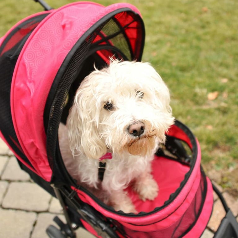 Gen7Pets Raspberry Sorbet Regal Plus Pet Stroller