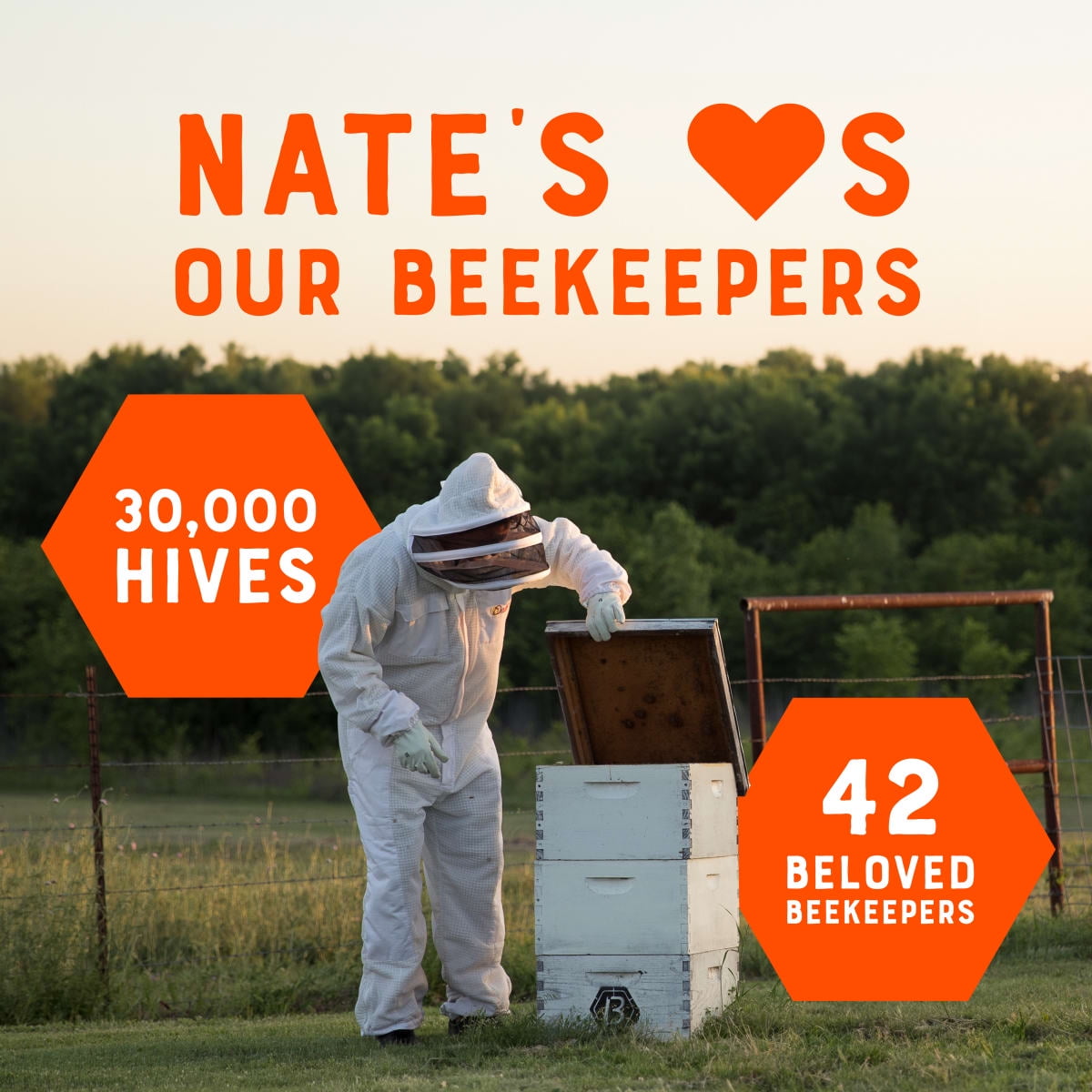 Nate's Texas Honey: 100% Pure, Raw and Unfiltered Honey - 16 fl oz Bottle
