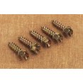 thumbnail image 1 of Gold Screws Original Gold Ice Screws 1" 1250-0062, 1 of 3