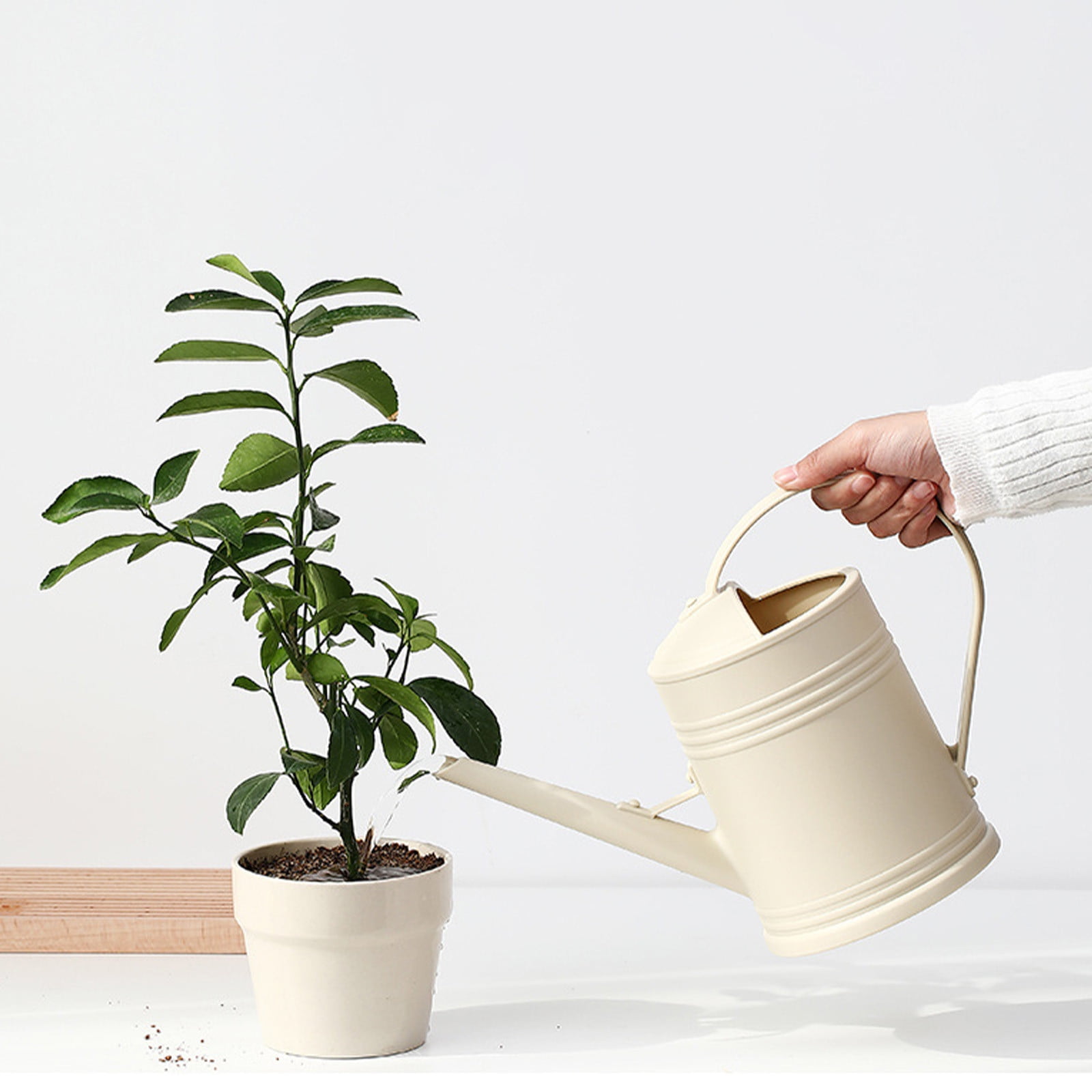 JoyHoop 2L Long Spout Watering Kettle, Beige Plastic with Ergonomic Handle for Indoor Plants, 12.99x9.05x5.51 Inches