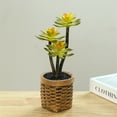 thumbnail image 4 of Suculentas artificiales, bonsáis, muebles creativos para el hogar, plantas verdes artificiales, plantas en macetas., 4 of 5