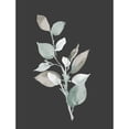 thumbnail image 3 of Loreth, Lanie 15x18 Black Modern Framed Museum Art Print Titled - Eucalyptus Branch On Charcoal II, 3 of 5