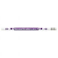 thumbnail image 3 of Musgrave Pencil Company 2nd Graders Are #1 Motivational Pencils Pack of 12 MUS2205D, 3 of 4