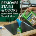 Simple Green Cat Stain & Odor Remover Enzyme Cleaner for Cat Urine