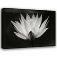 thumbnail image 1 of Vitaly Geyman 32x26 Gallery Wrapped Canvas Wall Art Titled - Glowing Lotus I, 1 of 4