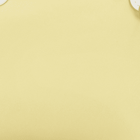 Lemon Ice