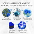 thumbnail image 6 of GLAMOUR BOUTIQUE 7-Piece Forever Flowers Heart Shape Box - Preserved Roses, Immortal Roses That Last A Year - Eternal Rose Preserved Flowers for Delivery Mothers Day & Valentines Day - Blue, 6 of 8