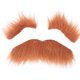 thumbnail image 2 of Ceja De Barba Falsa, Uso Cómodo, Uso Fácil, Ceja De Barba Autoadhesiva, Ingredientes Seguros Para Fiesta, 2 of 7