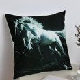 thumbnail image 2 of Funda de almohada de vellón con estampado animal: almohadilla de cojín transpirable y cómoda para la decoración del hogar y el automóvil, 176 cm, muy acogedora, 2 of 3