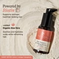 thumbnail image 2 of Beauty by Earth Dry Shampoo Powder - Volumizing Non Toxic with Biotin, Oil-Absorbing Natural Ingredients, Made in USA, 2 of 8