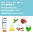 thumbnail image 4 of Pasta de dientes Himalaya Botanique Anticavity Fluoride 120ml, 4 of 5
