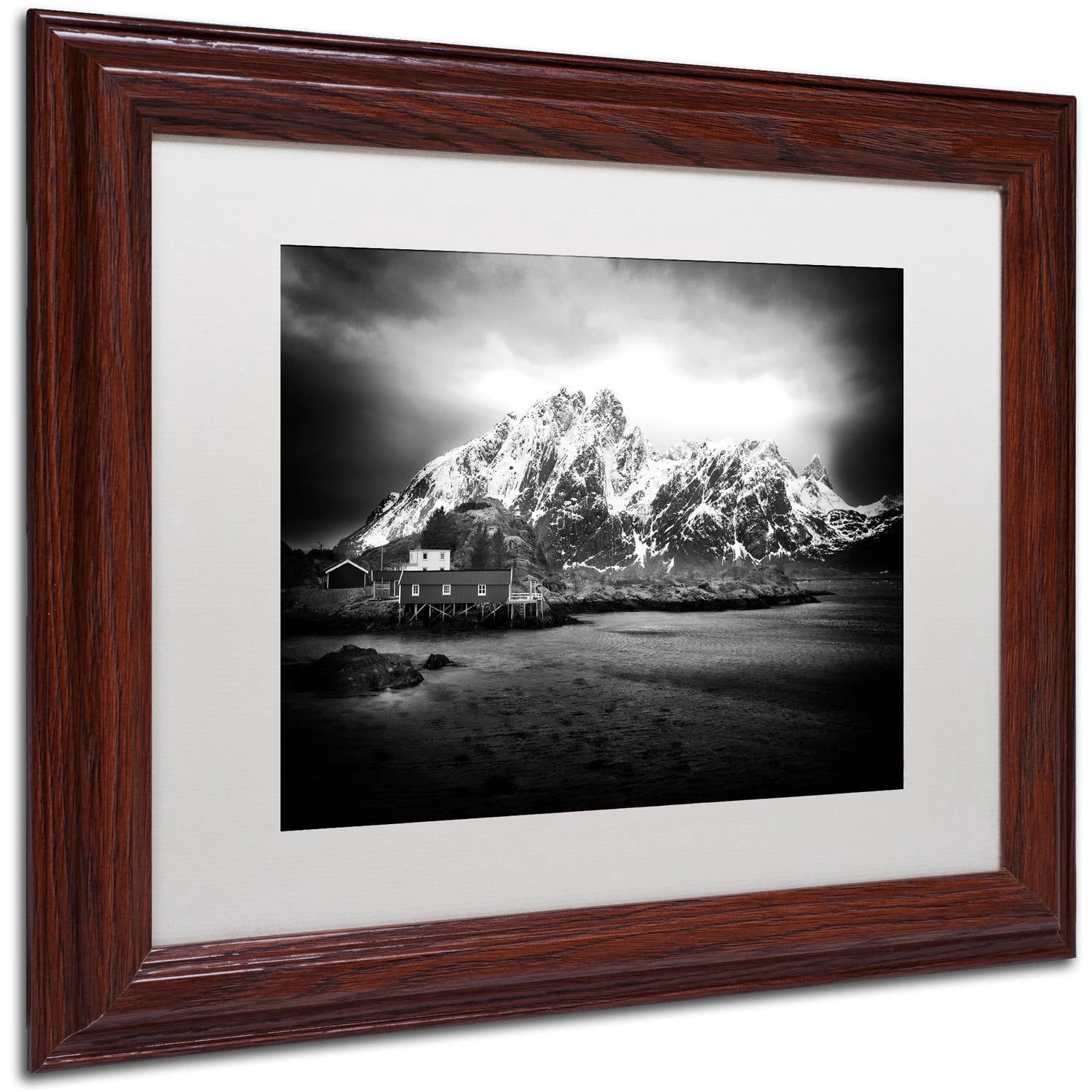 Trademark Fine Art "Fool Sometimes" Canvas Art by Philippe Sainte-Laudy, White Matte, Wood Frame
