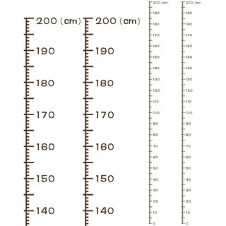 Height Measurement Stick (37)