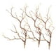 thumbnail image 2 of 3 ramas de árbol artificiales secas de plástico, similares a plantas reales, con forma de astas y cuernos para decoración (café), 2 of 8