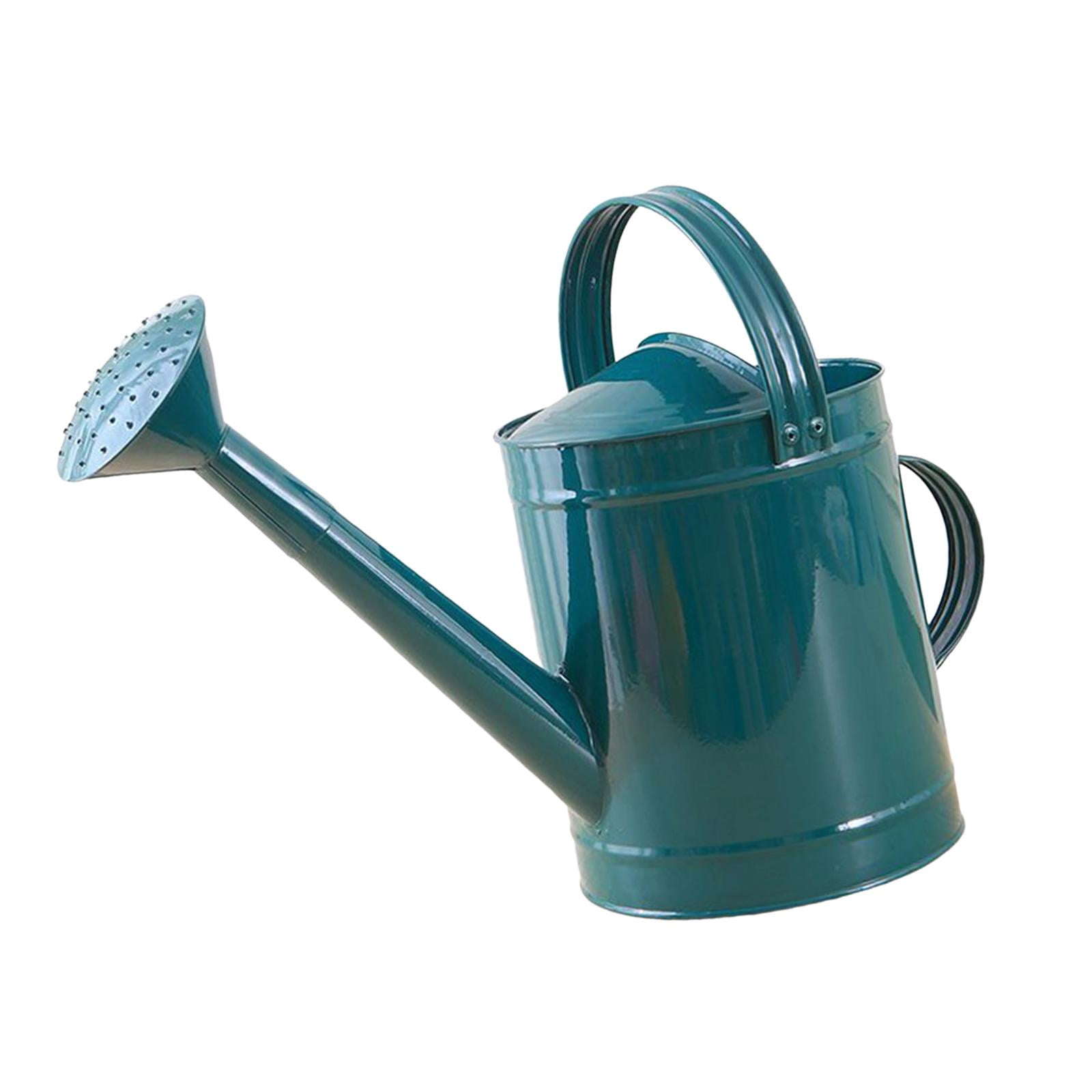 YWMJZEU 4L Watering Can with Handle, Leak, Removable Spout, Garden Tool, Rust-Resistant, blue