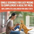 thumbnail image 4 of Purina Beyond Mixers Wet Cat Food, Natural Digestive Support Salmon & Pumpkin, 1.55 oz Pouch, 4 of 8