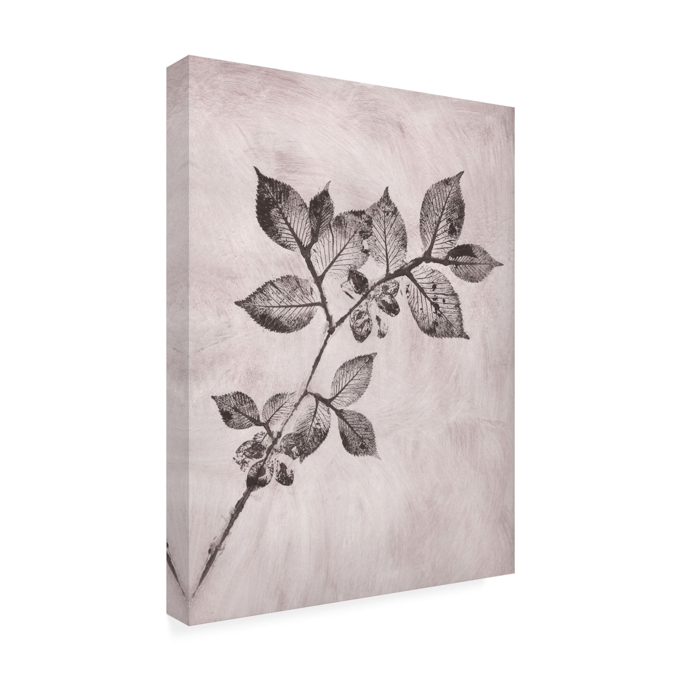 Canvas Wall Art - Pernille Folcarelli 'Elm 1 Brown' Wall Art for Living Room, Bedroom, or Office Décor by Trademark Fine Art - 14 x 19 Inches