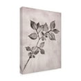 thumbnail image 2 of Canvas Wall Art - Pernille Folcarelli 'Elm 1 Brown' Wall Art for Living Room, Bedroom, or Office Décor by Trademark Fine Art - 14 x 19 Inches, 2 of 4