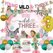 JOYMEMO Young Wild PriNst and Three Decorations, 3rd Banner Backdrop Cake Topper Hanging Swirls Centerpieces Sash with Balloons for Girls, Pink Jungle Safari Animal Theme Party Supplies