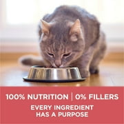 Purina ONE Plus, Indoor Advantage, Dry Cat Food, Salmon, 16 lb Bag