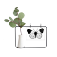 thumbnail image 1 of White Wings Specimen Metal Picture Frame Cerac Vase Decor, 1 of 3