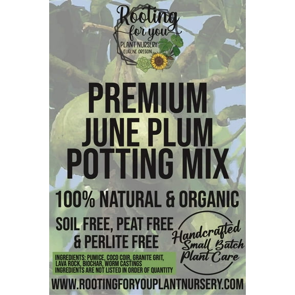 June Plum Premium Potting Mix