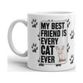 thumbnail image 2 of My Best Friend is Every Cat Ever Coffee Tea Ceramic Mug Office Work Cup Gift, 2 of 3