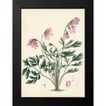 thumbnail image 2 of Unknown 18x24 Black Modern Framed Museum Art Print Titled - Splendors of Botany VII, 2 of 5