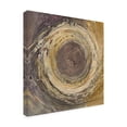 thumbnail image 2 of Trademark Fine Art 'Wooden Rings' Canvas Art by Albena Hristova, 2 of 3