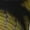 1 Black, variant on Yellow White-Lipped Pit Viper Print Kids Socks For Boys Girls,Grip Crew Socks with Non Slip,Lightweight Stretch Crew Socks,Toddlers Crew Boot Socks