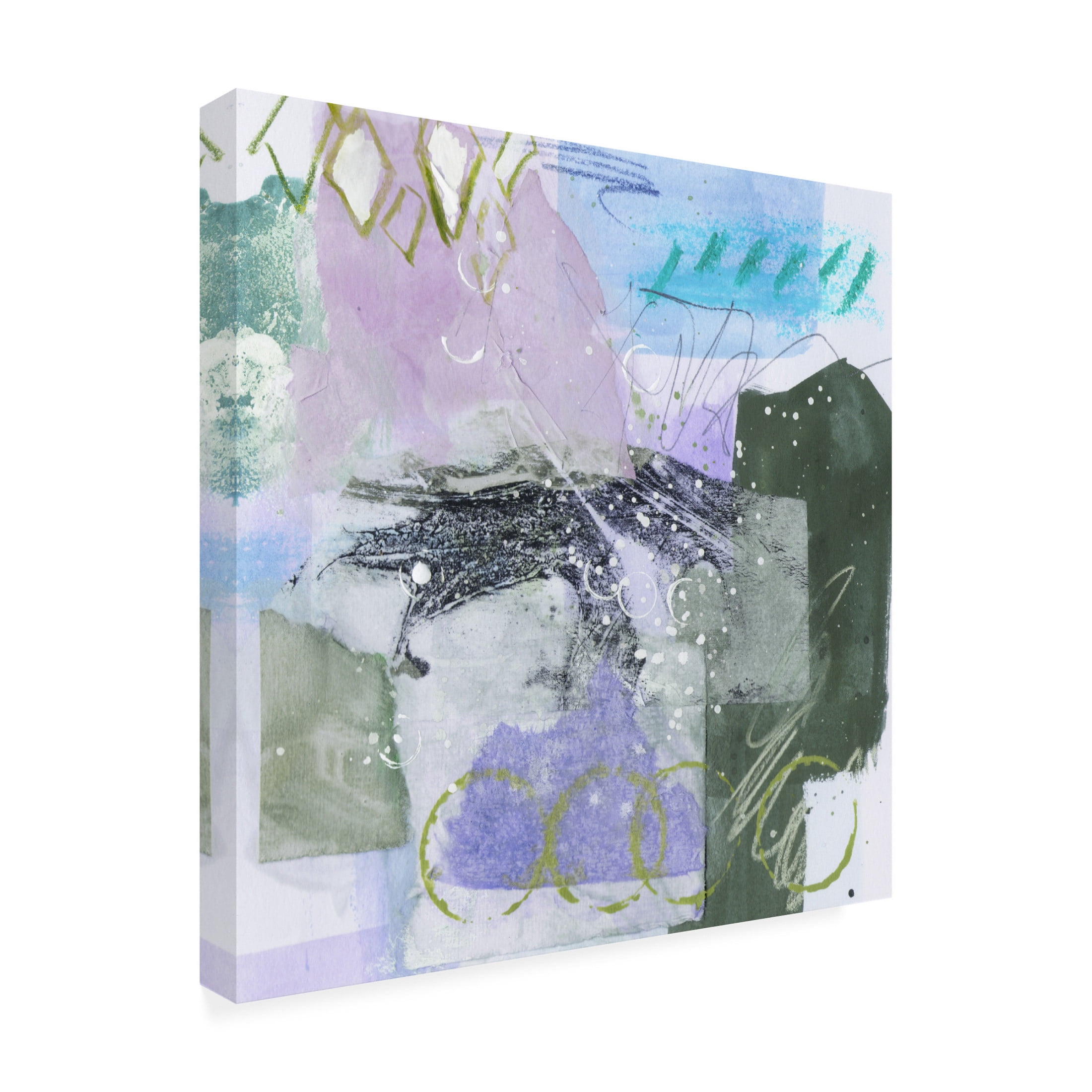 Trademark Fine Art Melissa Wang  Snow Petal I Canvas Wall Art