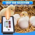 thumbnail image 4 of W9002 Automatic Egg Turning Intelligent Incubation Thermostat DC12V Home Waterbed Incubator Incubato, 4 of 5