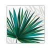 Tropical Palms Fiesta Cocktail Napkins, Palm Oasis Beverage Napkins - 5x5 Inch, 20 Count