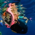 thumbnail image 4 of Ocean Reef Aria QR+ Full Face Snorkeling Mask, 4 of 4