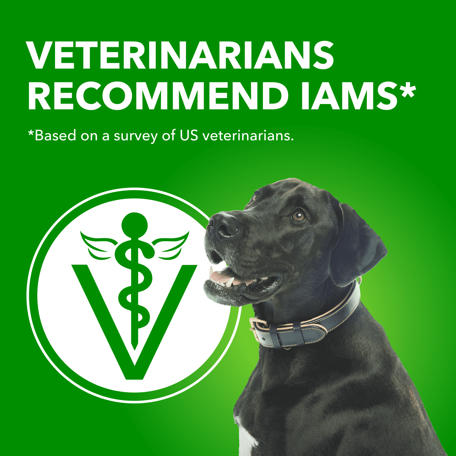 IAMS Proactive Health Chicken & Rice Adult Wet Dog Food