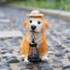 thumbnail image 2 of Garden Dog Statues - Adorable Resin Dog Figurines with Straw Hat and Solar LED Lantern, Puppy Decor Outdoor Solar Light, 2 of 5