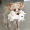thumbnail image 4 of Pegy Mini Plushie, 4 of 4