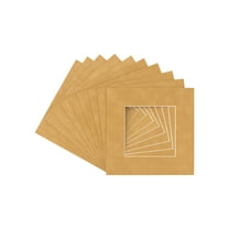 Thicket Suede Acid Free 20x20 Picture Frame Mats with White Core Bevel Cut for 16x16 Pictures -