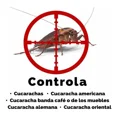 thumbnail image 2 of Maxforce Gel para el Control de Cucarachas Gel insecticida, 2 of 2