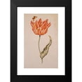 thumbnail image 2 of Dutch School 16x24 Black Modern Framed Museum Art Print Titled - An Orange and Yellow Tulip with a Butterfly (circa 1700), 2 of 5