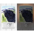 thumbnail image 2 of Carolines Treasures SS8420CNL Pug Ceramic Night Light, 6x4x3, Multicolor, 2 of 2