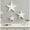 White, variant on Kate and Laurel Gallantry Farmhouse Decorative Wooden Stars, Set of 3, Hazelnut, Modern Dimensional Three-Piece Star Set for Use as Living Room Wall Decor or Patriotic Home Decor Option