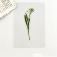 thumbnail image 1 of Dried Flowers Pressed Flowers Material Package DIY Handmade Bet Flowers Bookmarks Photo Frame Plant Specimen Portrait Handmade Stick Face Makeup, 1 of 4