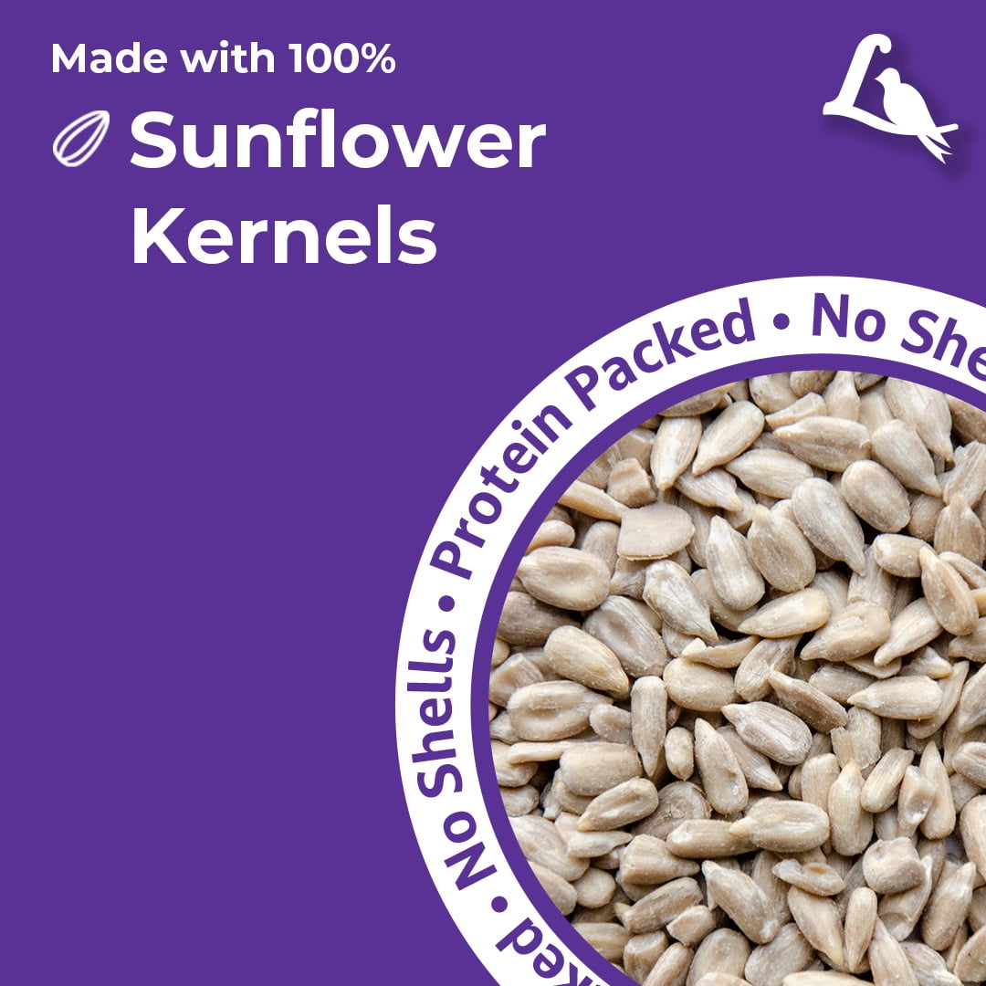 Lyric Sunflower Kernels Wild Bird Seed No Waste Bird Food - Attracts Finches & More - 10 lb. (Pack of 2-5 lb. Bags)