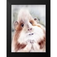 thumbnail image 2 of Shefranov, Olga 11x14 Black Modern Framed Museum Art Print Titled - Oliver, 2 of 5
