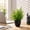 Green, variant on MTBLYS Artificial Plants Fake Foliage Plastic Small Potted Greenery | 8.66 Inch Tall Faux Flowers | Indoor Outdoor Home Office Table Decoration