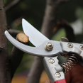 thumbnail image 5 of Pruning Shears Hand Pruner Garden Shears Pruners For Garden Scissors, 5 of 5