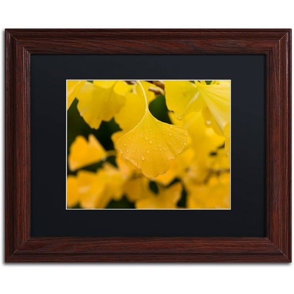 Trademark Fine Art "Ginkgo in the Rain" Canvas Art by Philippe Sainte-Laudy Black Matte, Wood Frame